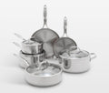 Pro Stainless Steel Uncoated 10-piece cookware set